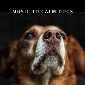 Обложка для Calming Dog Chillout - When You're Away, Give Pup Some Calm