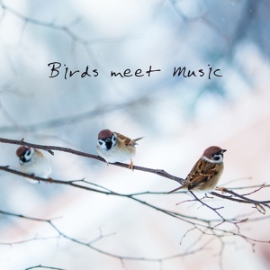 Обложка для Bird Sounds, Total Relax Music Ambient, Ambient Sounds Collection - Perfect Harmony with Nature
