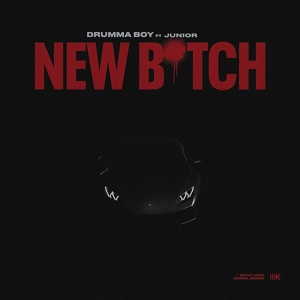 Обложка для Drumma Boy - New Bitch ft Junior