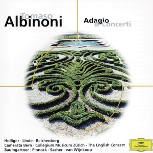 Обложка для Heinz Holliger, Hans Elhorst, Camerata Bern, Alexander van Wijnkoop - Albinoni: Concerto a 5 in D, Op. 7, No. 6 for Oboe, Strings and Continuo - 3. Allegro