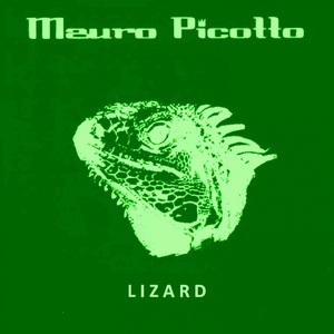 Обложка для Mauro Picotto - Lizard