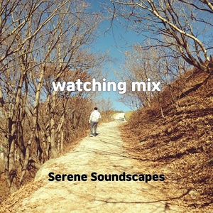 Обложка для Serene Soundscapes - watching mix