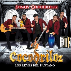 Обложка для Cocodriloz - Tú Me Robaste el Corazón