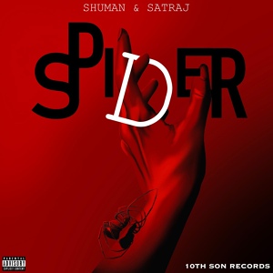 Обложка для Shuman, Satraj - Spider