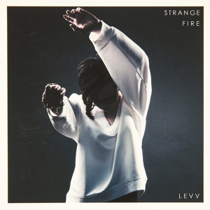 Обложка для LEVV - Heartbreaker