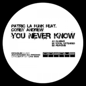 Обложка для Patric la Funk feat. Corey Andrew - You never know