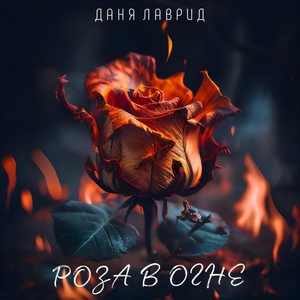 Обложка для Даня Лаврид - Роза в огне