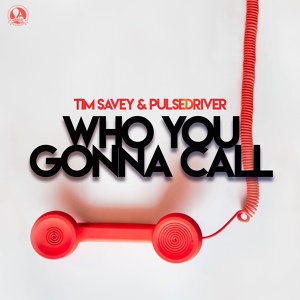 Обложка для Tim Savey, Pulsedriver - Who You Gonna Call