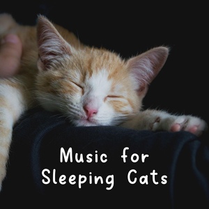 Обложка для Cat Music Therapy - Cats Are Happy Whenever They Hear a Music