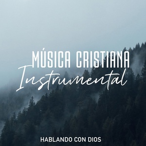 Обложка для MUSICA CRISTIANA INSTRUMENTAL - Hoy Mas Que Nunca