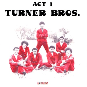 Обложка для Turner Brothers - I Remember