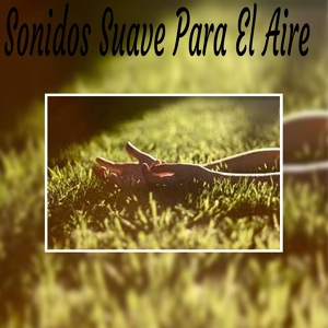 Обложка для Sonidos Suave - Buenas Noche