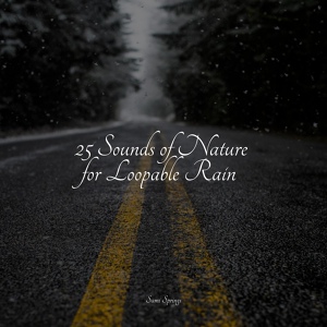 Обложка для Deep Sleep Meditation, Instrumental, Relaxing Nature Music - Splish Splash Rains