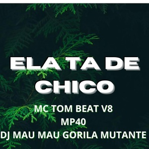 Обложка для DJ MAU MAU GORILA MUTANTE, mp40, MC Tom Beat V8 - Ela Ta de Chico