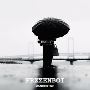 Обложка для FRXZENBOI - Wandering