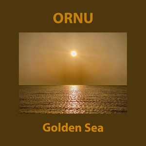 Обложка для Ornu - La Ley