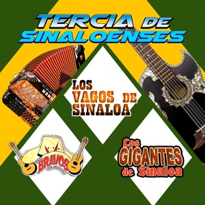 Обложка для Los Bravos De Sinaloa - La Borrachera