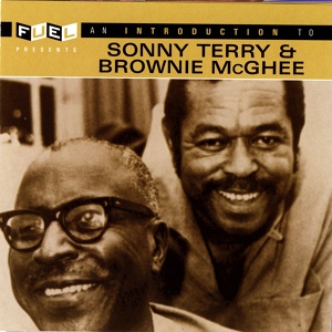 Обложка для Sonny Terry & Brownie McGhee - Blues For Gamblers
