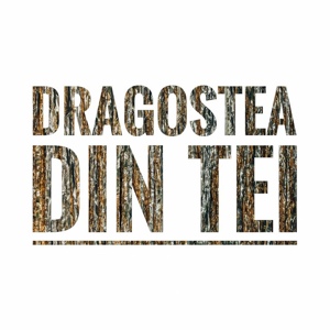 Обложка для Simone - Dragostea Din Tei