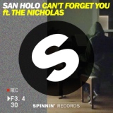 Обложка для San Holo - Can't Forget You (feat. The Nicholas)