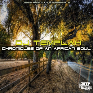 Обложка для DJ Templah - Afro Chronicles