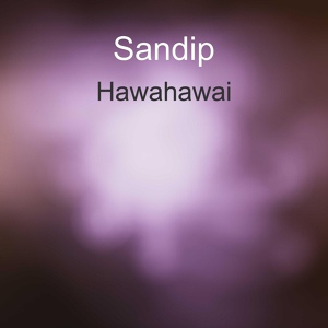 Обложка для Sandip - Roaksm