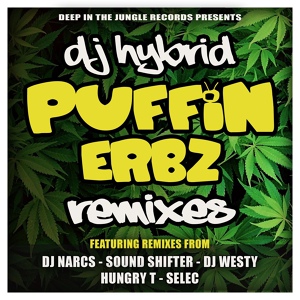 Обложка для DJ Hybrid - Puffin Erbz