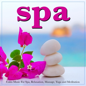 Обложка для Spa, Relaxing Spa Music, Spa Music Experience - Forest Valley