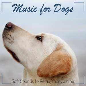 Обложка для RelaxMyDog, Dog Music Dreams, Pet Music Therapy - Dog Bed