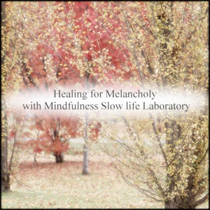 Обложка для Mindfulness Slow Life Laboratory - Satellite Flower & Joy