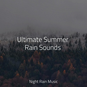 Обложка для Natural Sample Makers, Spa Music Relaxation, Baby Sleep - Rain, Evening, Leaves