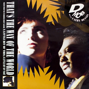 Обложка для D Mob feat. Cathy Dennis - That's The Way of The World (with Cathy Dennis)