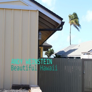 Обложка для Andy Weinstein - Beautiful Hawaii