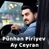 Обложка для Punhan Piriyev - Bir Gozele Vuruldum