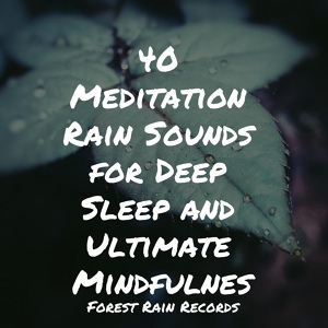 Обложка для The Relaxation Principle, Hipnose Natureza Sons Coleção, Anxiety Relief - Rain, Nature, Medium, Light Wind