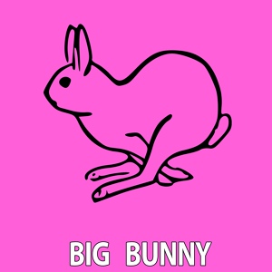 Обложка для 21 room, Big Bunny - Down Bass
