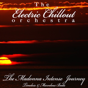 Обложка для The Electric Chillout Orchestra - Into the Groove