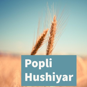 Обложка для Hushiyar - Badmashi
