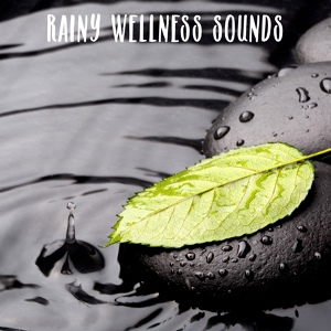 Обложка для Rain Sounds, Nature Sounds - Calming Rain in the Rainforest