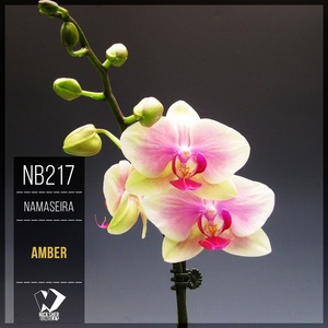 Обложка для Namaseira - Amber