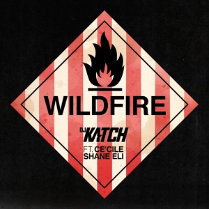 Обложка для DJ Katch feat. Shane Eli, Cecile - Wildfire
