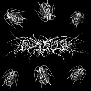 Обложка для symbiotis - Painsoul