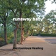 Обложка для Harmonious Healing - runaway baby