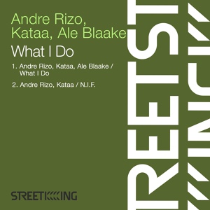 Обложка для Andre Rizo, Kataa, Ale Blaake - What I Do