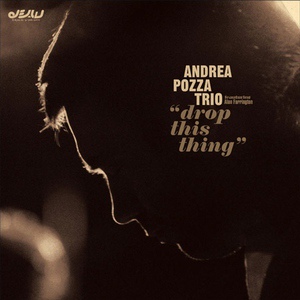 Обложка для Andrea Pozza Trio - Like In Nigeria