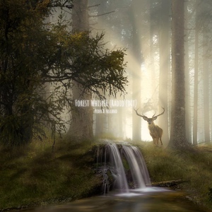 Обложка для Peder B. Helland - Forest Whisper (Radio Edit)