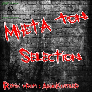 Обложка для Mheta Ton - Selection