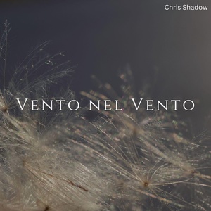 Обложка для Chris Shadow - Vento nel vento