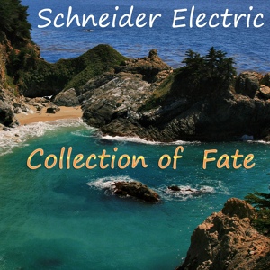 Обложка для Schneider Electric - Delirium