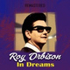Обложка для Roy Orbison - Dream